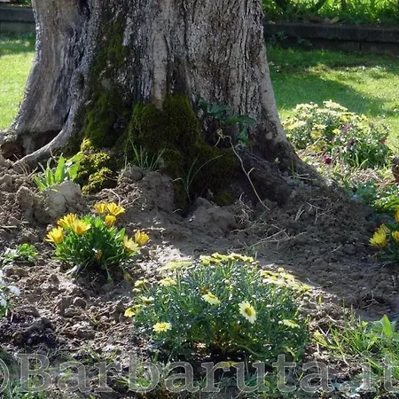 Barbaruta Rta Apartment Grosseto