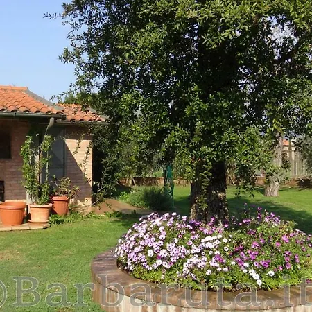 Barbaruta Rta Apartment